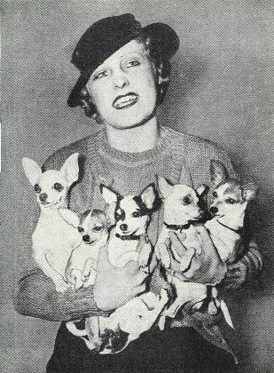 1930s_Chihuahuas