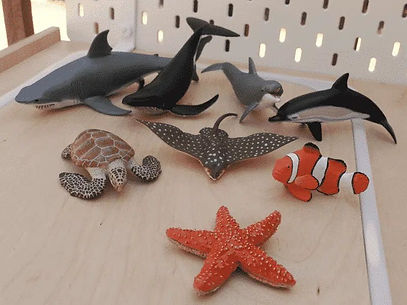 Coffret figurines – Animaux marins – Papo