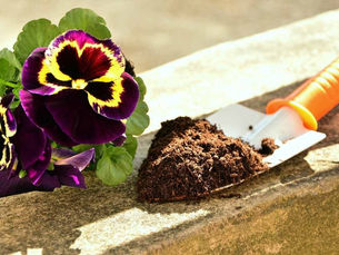 PLANTS GROW IN PLOPS, PEOPLE GROW IN PURPOSE