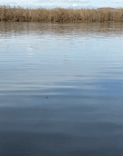 IMG_5828.GIF