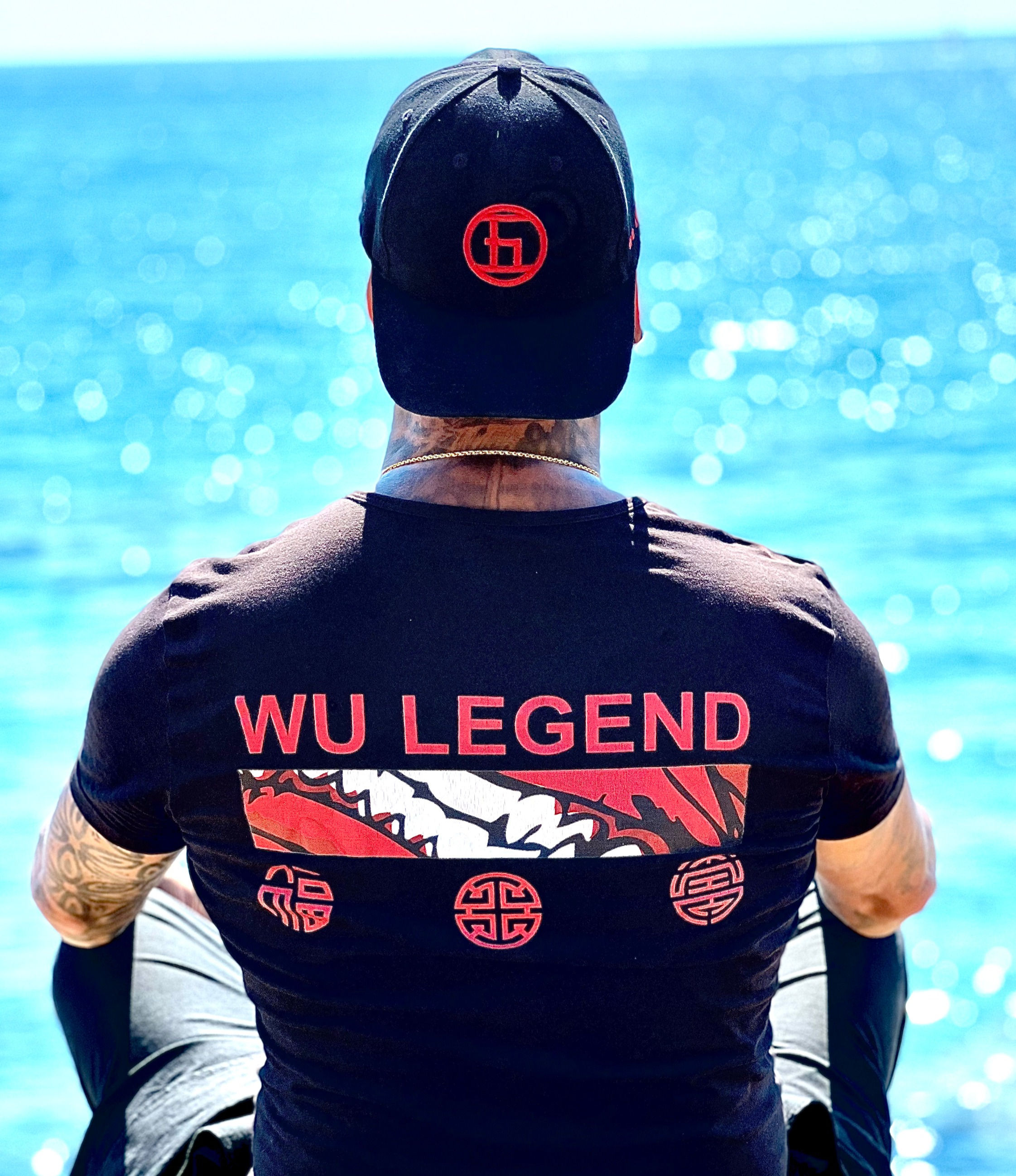 Tee shirt noir Tengu