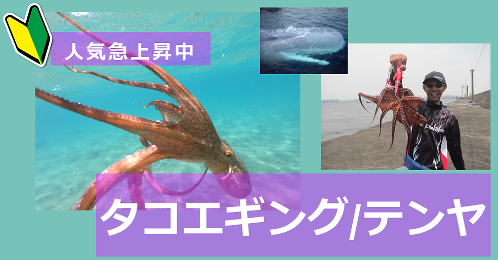 マイポスト Copy 6 (4).png