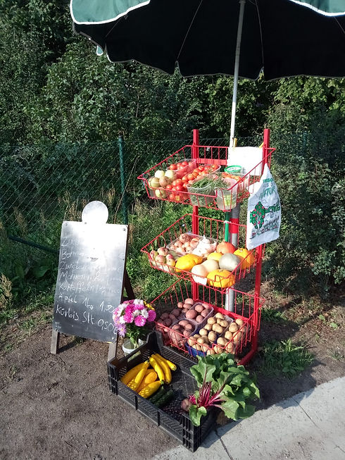 IMG-20180905-WA0005.jpg
