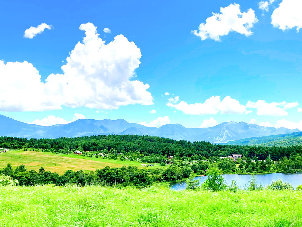 嬬恋キャンプ場イメージ画像裏面背景になるか_edited.jpg