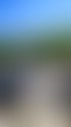 小豆島のミライ