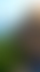 世界から愛される島の6つの風景たち