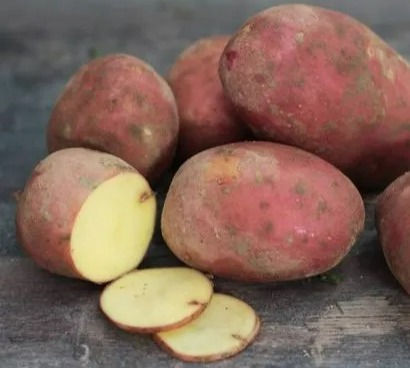 Miniature : Pomme de terre Désirée