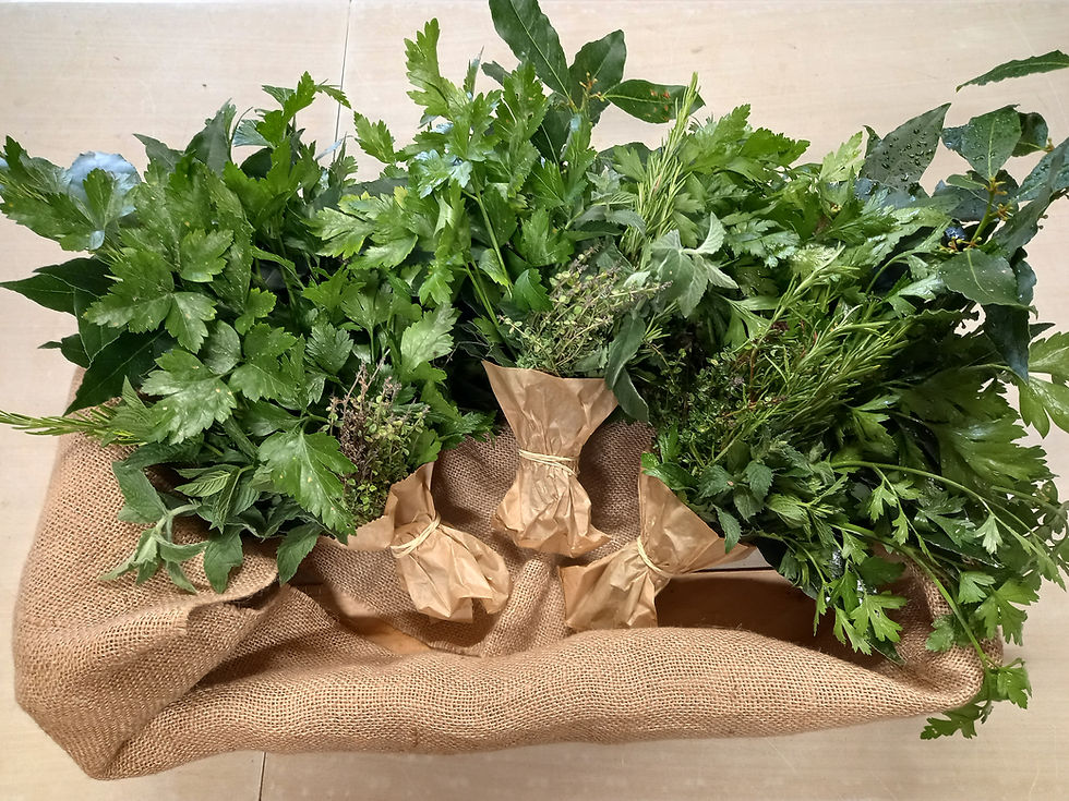 Miniature : Bouquet d'aromatiques frais