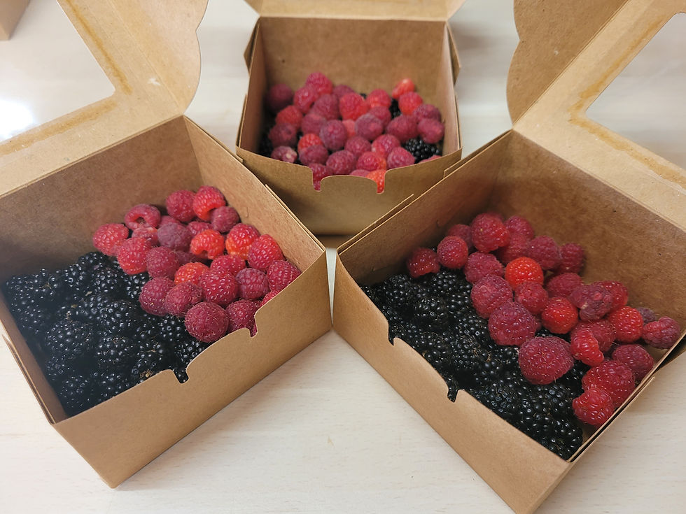 Mélange Mûres Framboises