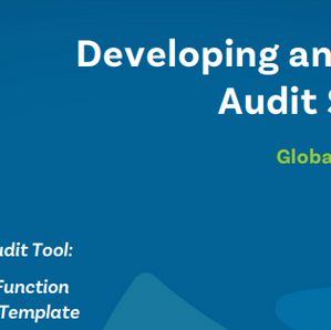 פיתוח אסטרטגיית הביקורת הפנימית – המדריך החדש של לשכת המבקרים הפנימיים העולמית ה IIA