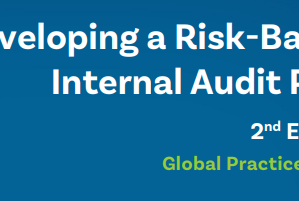 Global Practice Guide: Developing a Risk-Based Internal Audit Plan, 2nd Edition