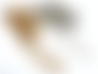 須磨のT様から金プラチナ,ネックレスを買取|須磨区・垂水区で売るならE-brand(いーぶらんど)へ