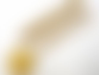 板宿のＫ様から金のネックレス,コインを買い取り｜須磨区・垂水区で売るならE-brand（いーぶらんど）へ