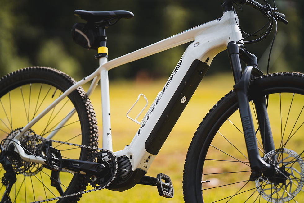 E-BIKE KROSS LEVEL 3.0/630WH