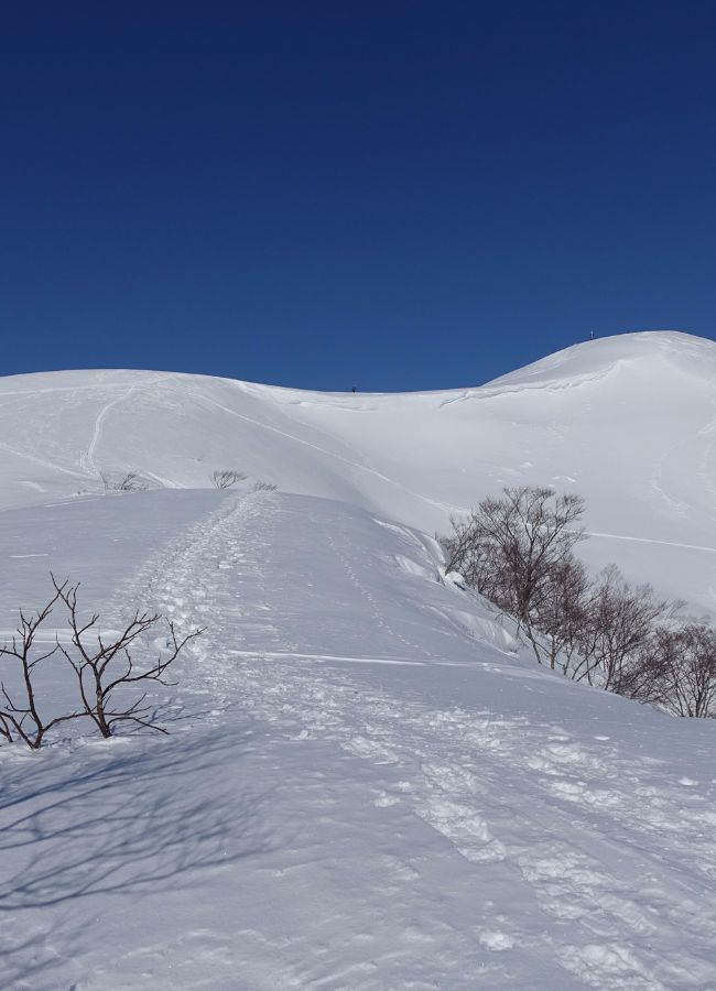 大日ヶ岳スノーハイキング