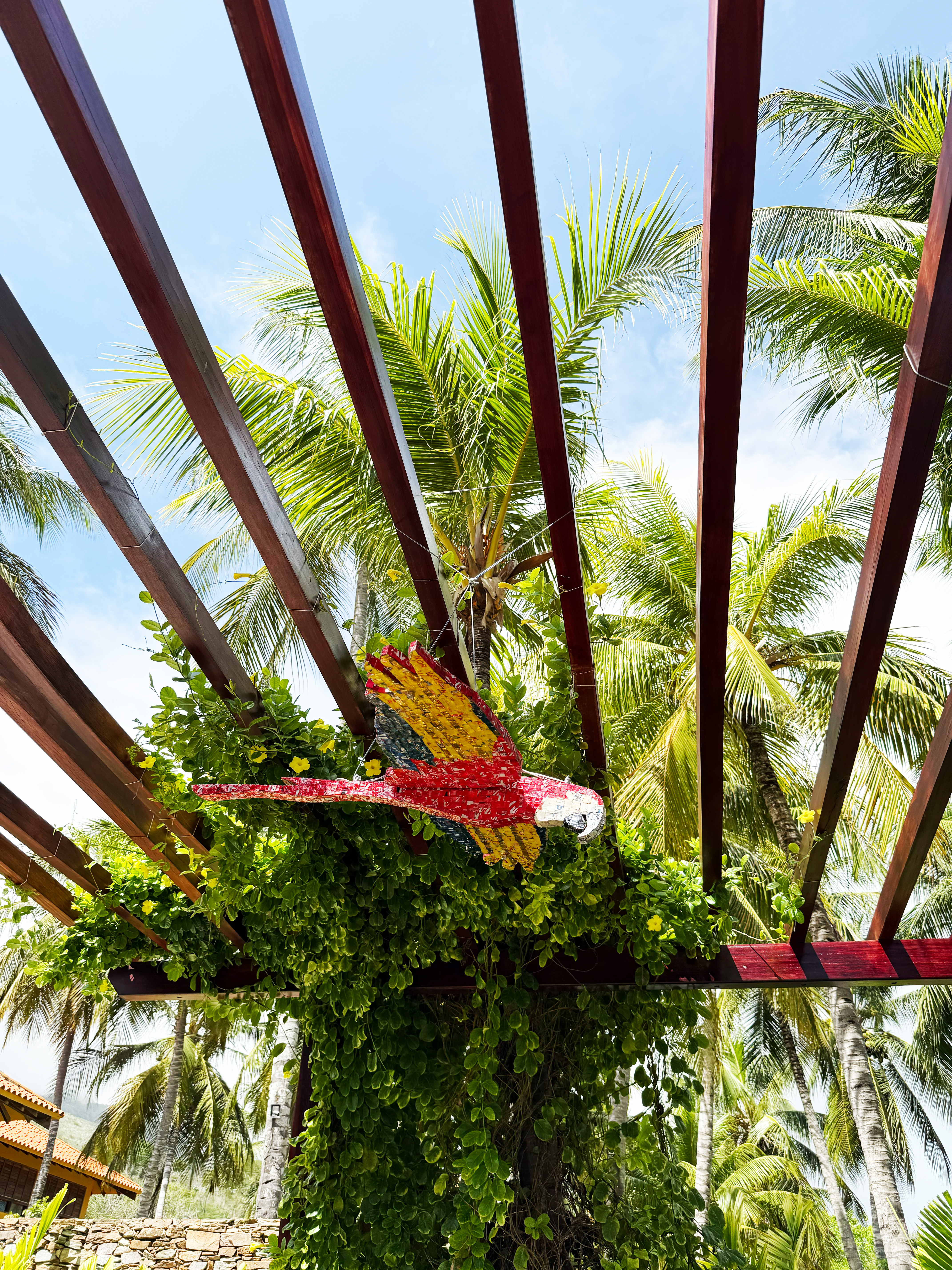 Guacamayo floral en pérgola con palmeras