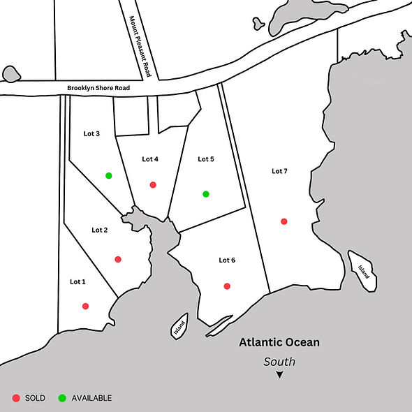 Brooklyn Shore lot map.jpg