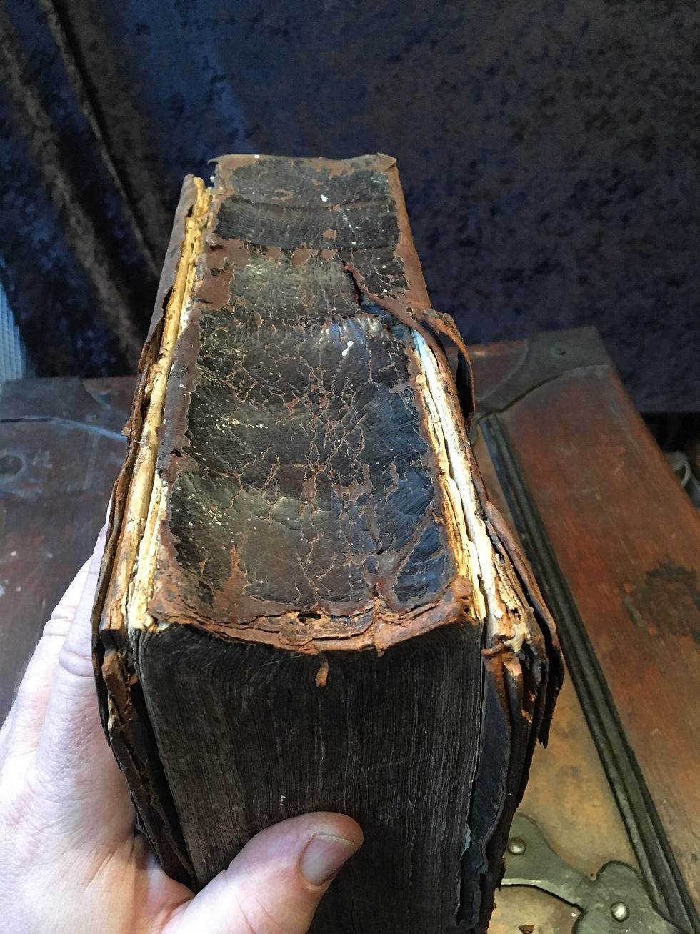 Miniatyrbild: Bibel 1766 