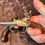 Thumbnail: Pistolpar 1700tal 