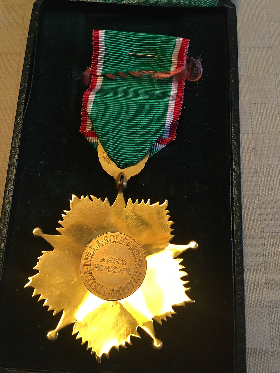 Thumbnail: Italian Order of Solidarity in original case