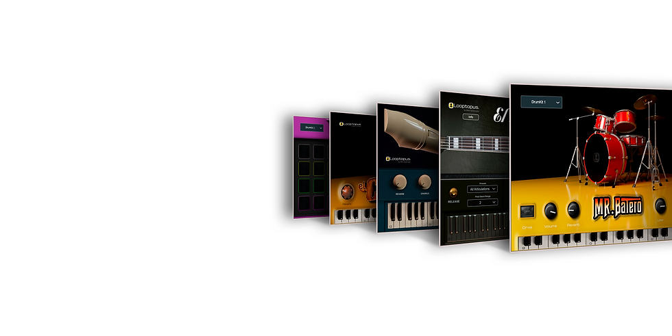 Looptopus Gallery Software