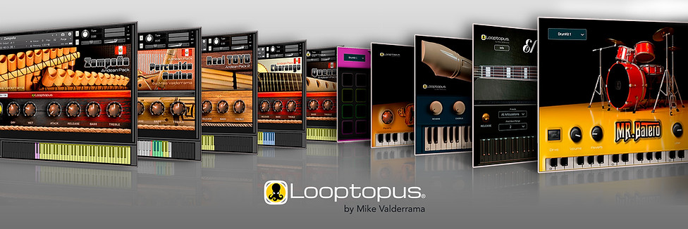 Banner Looptopus
