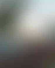 Plan en 3D d'une terrasse bois avec piscine