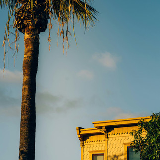 Photo d'un toit de maison jaune avec palmier à Palm Springs