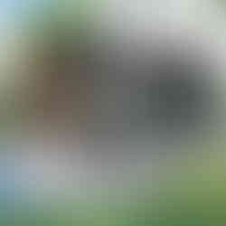 Pergola bioclimatique autoportée en aluminium