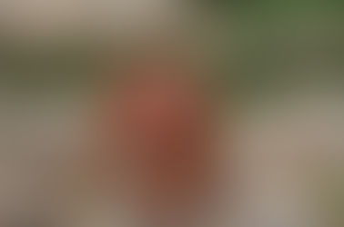 Check out our newest blog post