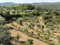 Meewerken op de finca?