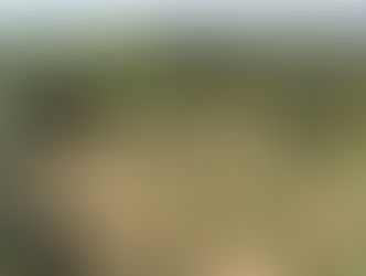 Meewerken op de finca?