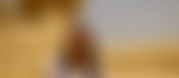 Galleria d'arte: Egitto