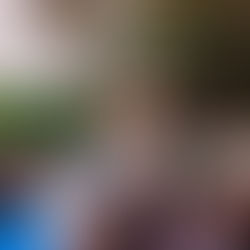 PLASTIC ZERO: Gino un cane ecologico