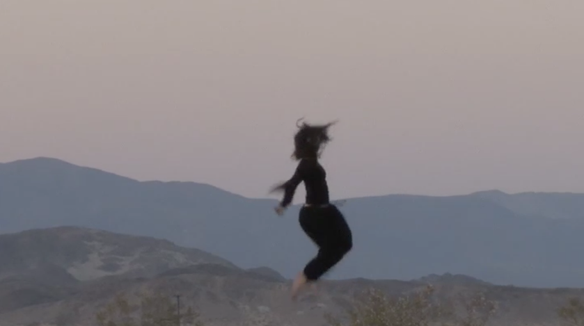 2008 Resisting gravity