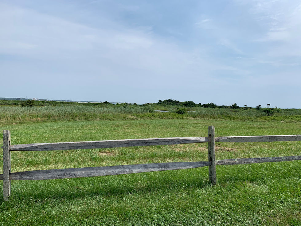 Massachusetts Audubon
