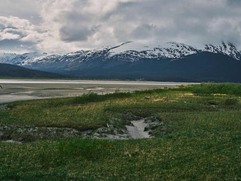Seward HWY 1 @ 80.5 mile marker