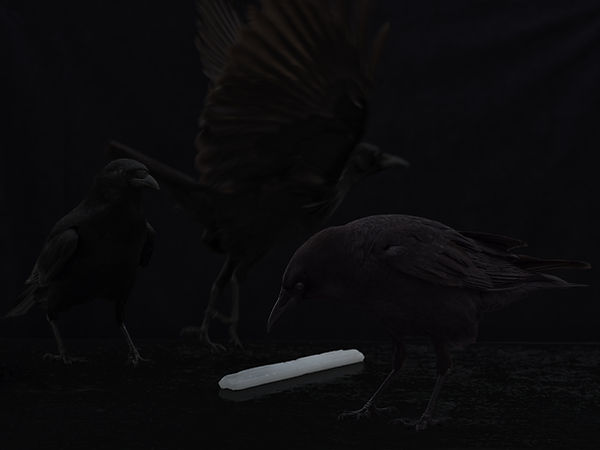 2025 Treading a river