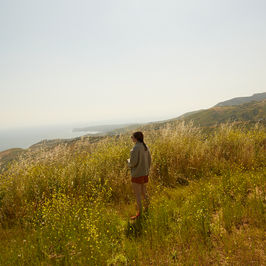 Los Angeles  Landscapes