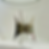 Screenshot 2026-05-24 at 2.36.02 PM.png