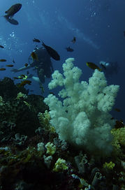 P1510026.JPG