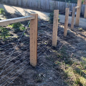 Feature Fence Nebraska Bruny