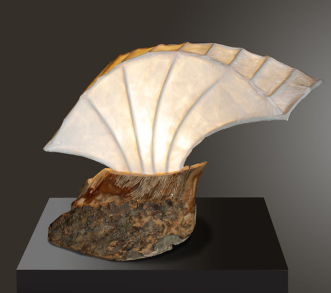 Rakoris_Website neu.jpg