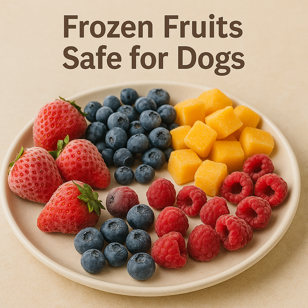 A colorful assortment of frozen fruits, including strawberries, blueberries, mango cubes, and raspberries, presented as safe options for dogs.