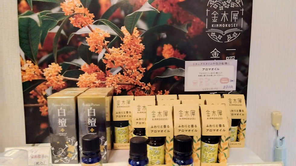 2025年11月2日(日)-本日の日報｜店主：焚屋奮闘記｜金沢のお香とアロマの香り専門店(石川県金沢市)・金沢観光・金沢のお土産処-アロマ香房焚屋