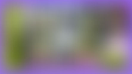 Youtube登録|【宇奈月温泉・日帰り観光グルメ編】富山県宇奈月温泉の食べ歩きグルメと温泉街の観光地 @お香