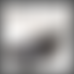 <新規登録> 黒壇ロング香皿 登録