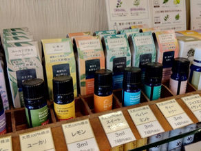 2026年3月29日(日)-本日の日報｜店主：焚屋奮闘記｜金沢のお香とアロマの香り専門店(石川県金沢市)・金沢観光・金沢のお土産処-アロマ香房焚屋