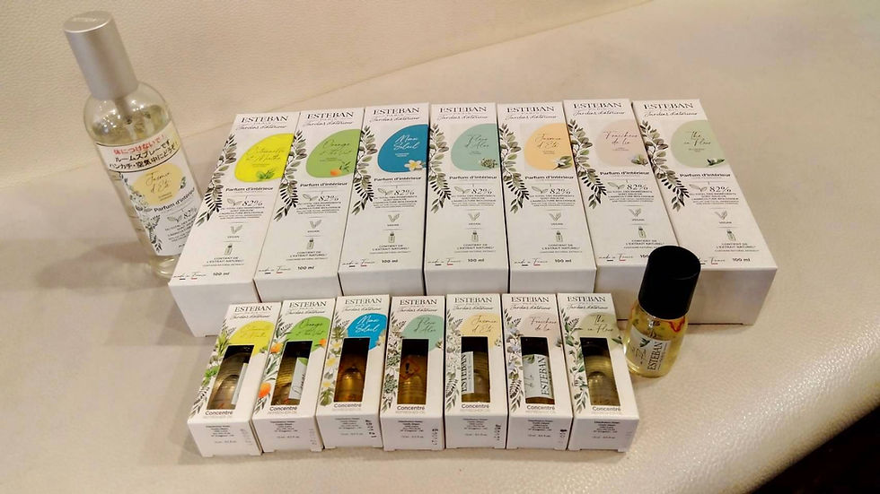 2026年2月22日(日)-本日の日報|店主:焚屋奮闘記|金沢のお香とアロマの香り専門店(石川県金沢市)・金沢観光・金沢のお土産処-アロマ香房焚屋