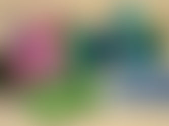 2026年2月15日(日)-本日の日報|店主:焚屋奮闘記|金沢のお香とアロマの香り専門店(石川県金沢市)・金沢観光・金沢のお土産処-アロマ香房焚屋